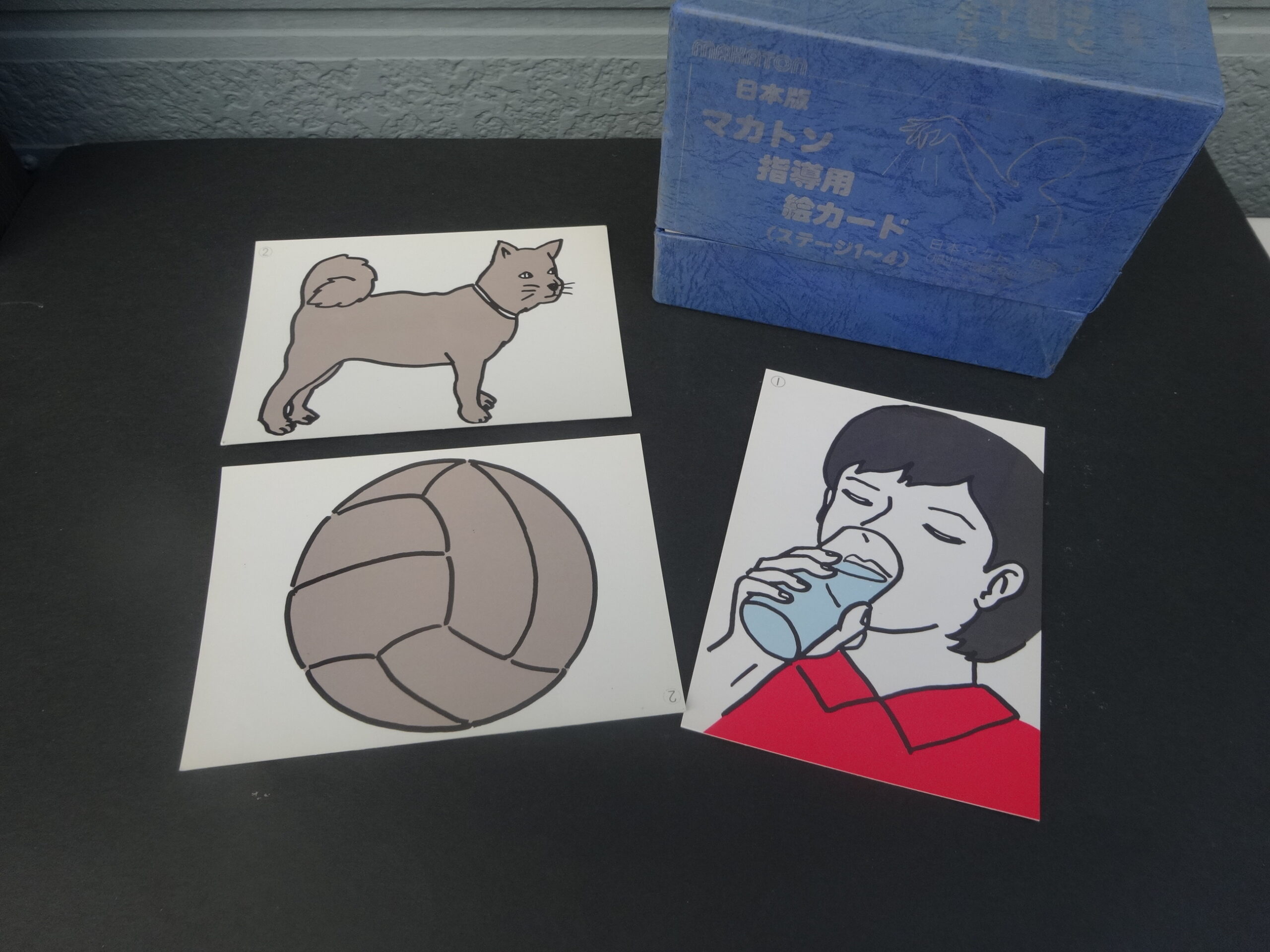 マカトン - わたしのまなび研究所｜知的障害のある方・関わる方